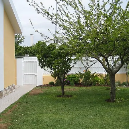 Hébergement de vacances Holiday Rua Mato Da Cruz
